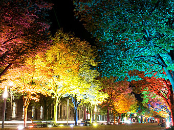 Berlin Festival of Lights